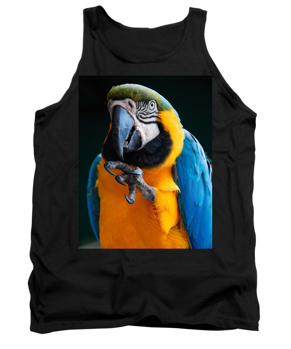 Bird Tank Top featuring the photograph Macaw by Harry Spitz