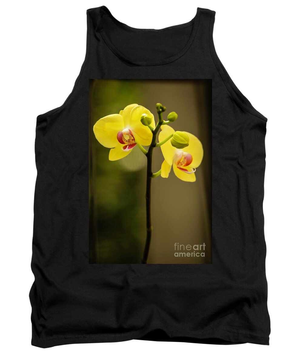 Spring Tank Top featuring the photograph Mellow Yellow Orchids by Sabrina L Ryan
