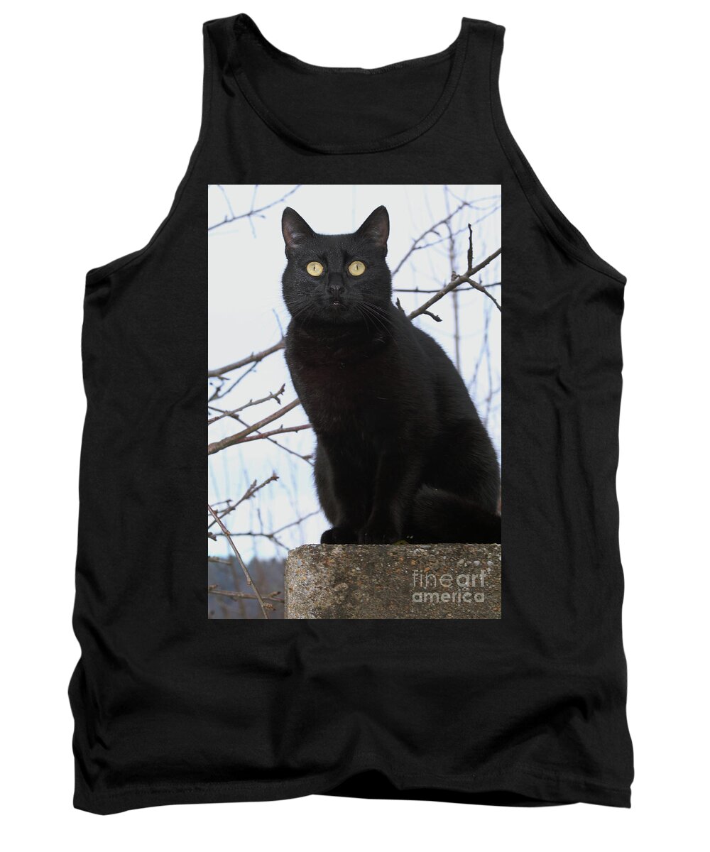 Autumn Tank Top featuring the photograph Midi 2 by Wilhelm Hufnagl