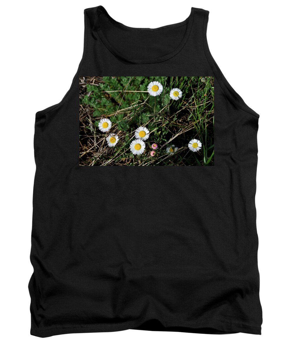 Flowers Tank Top featuring the photograph Mini Daisies by Ron Cline