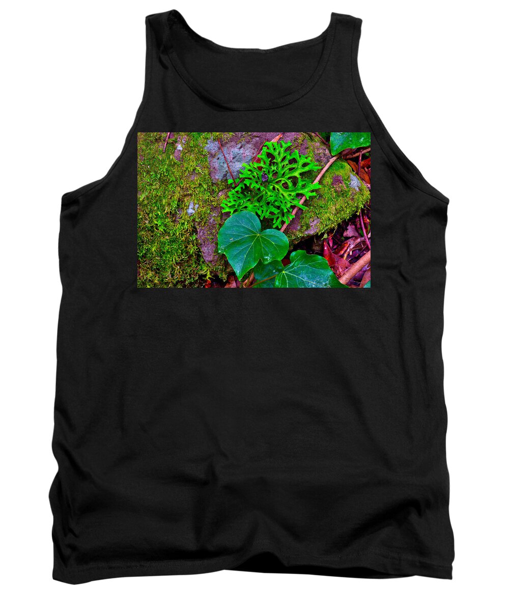 Spain Tank Top featuring the photograph Moss And Ivy On Rock by Jean-luc Bohin