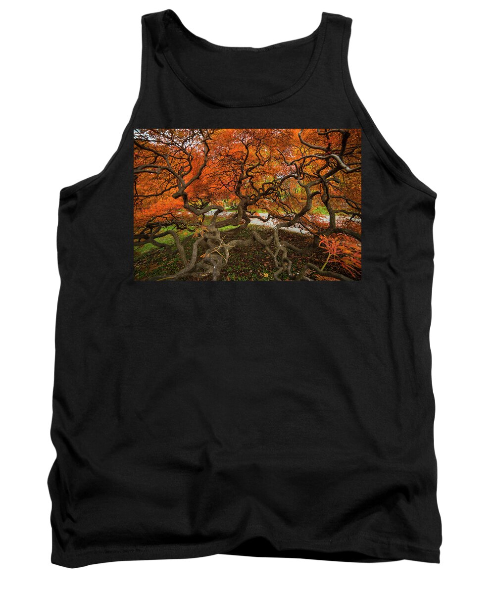 Mount Tank Top featuring the photograph Mount Auburn Cemetery Beautiful Japanese Maple Tree Orange Autumn Colors Branches by Toby McGuire