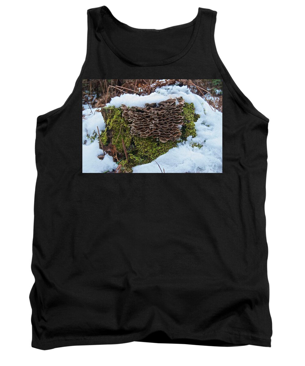 Mushroom Tank Top featuring the photograph Mushrooms and Moss by Michael Peychich