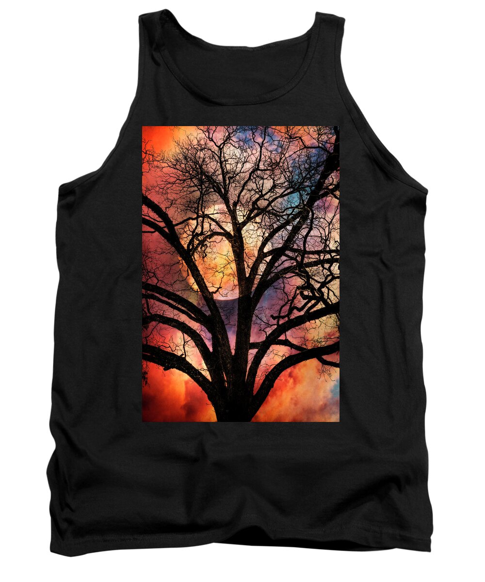 Abstracts Tank Top featuring the photograph Nature's Stained Glass by Debra and Dave Vanderlaan