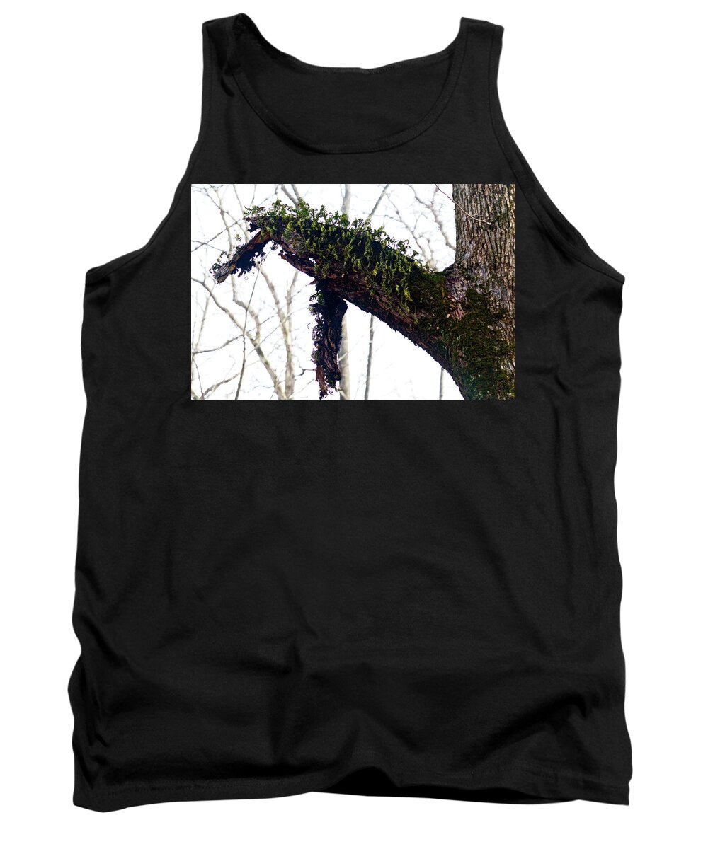 Trees Tank Top featuring the photograph New Life by George Taylor