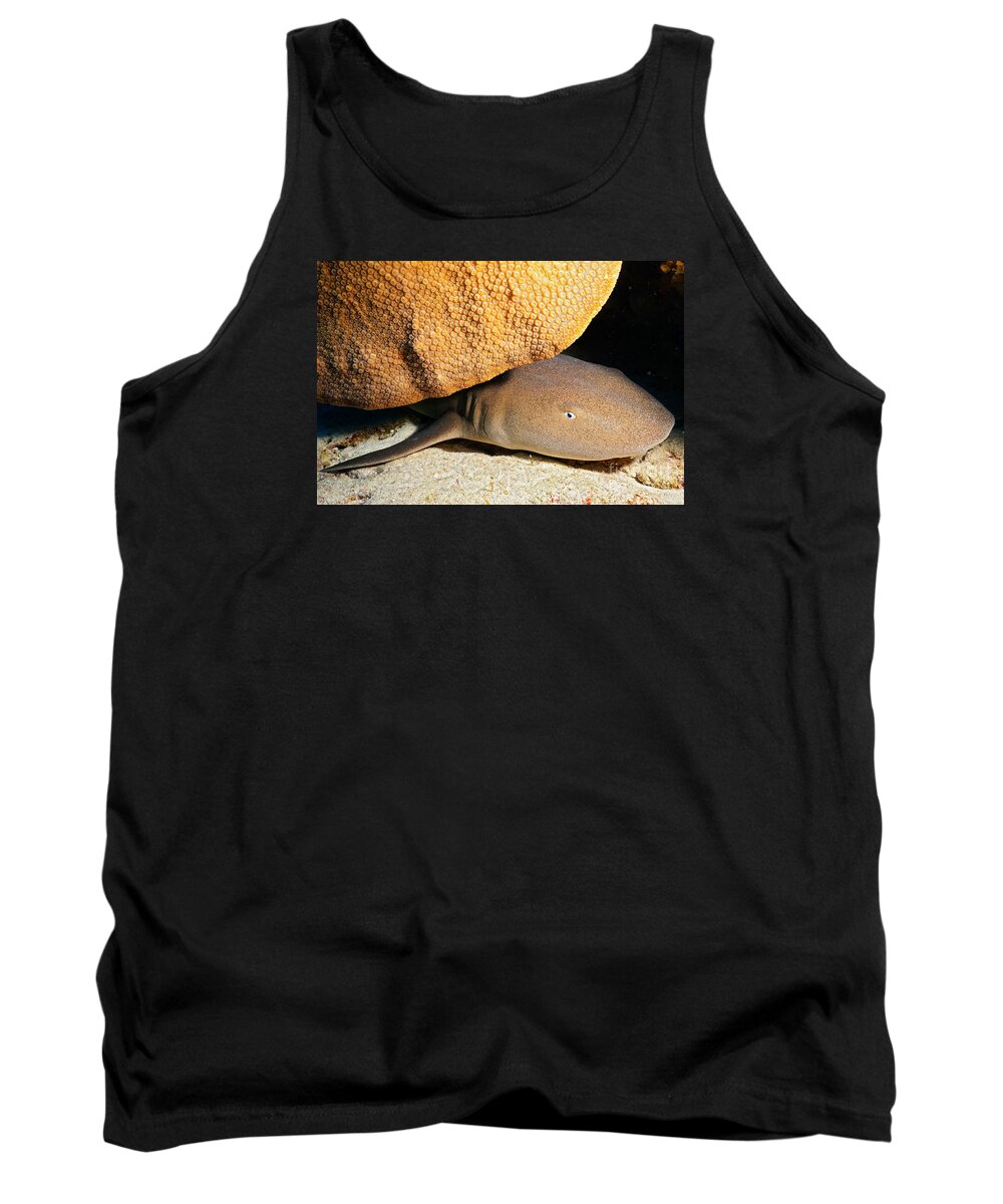 Nurse Shark Tank Top featuring the photograph Nocturnal Hunter by Aaron Whittemore