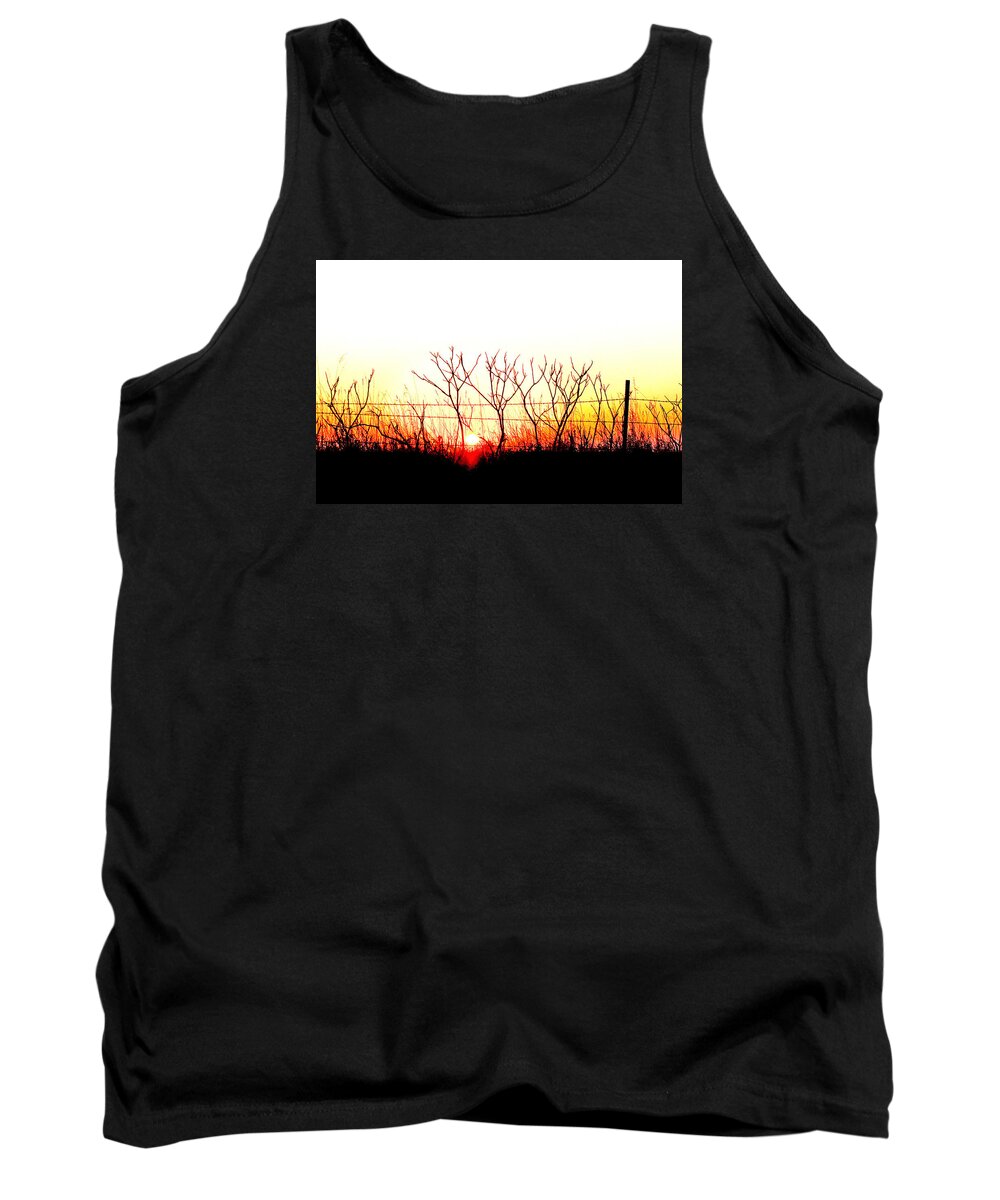 Landscape Tank Top featuring the photograph Old Fence by David Ralph Johnson