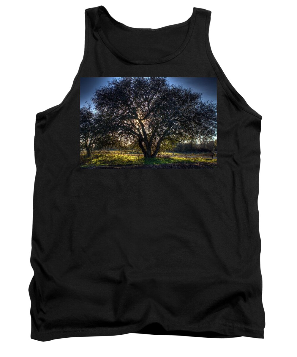 Hdr Tank Top featuring the photograph Ominous Tree by Randy Wehner