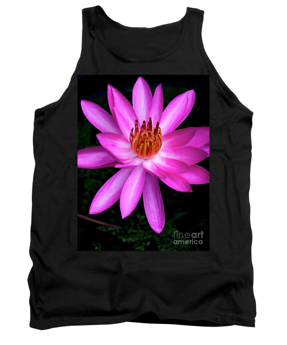 Magenta Tank Top featuring the photograph Opening - Early Morning Bloom by Kerryn Madsen-Pietsch
