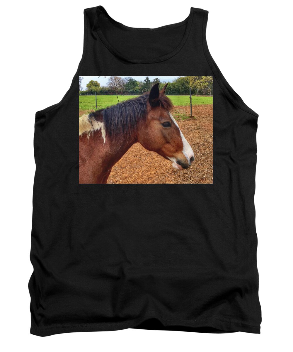 Horse Tank Top featuring the photograph Paint Profile by Doris Aguirre