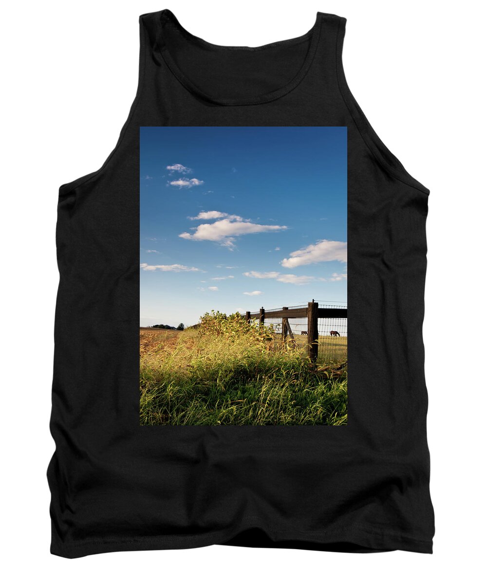 Grazing Horses Tank Top featuring the photograph Peaceful Grazing by David Sutton