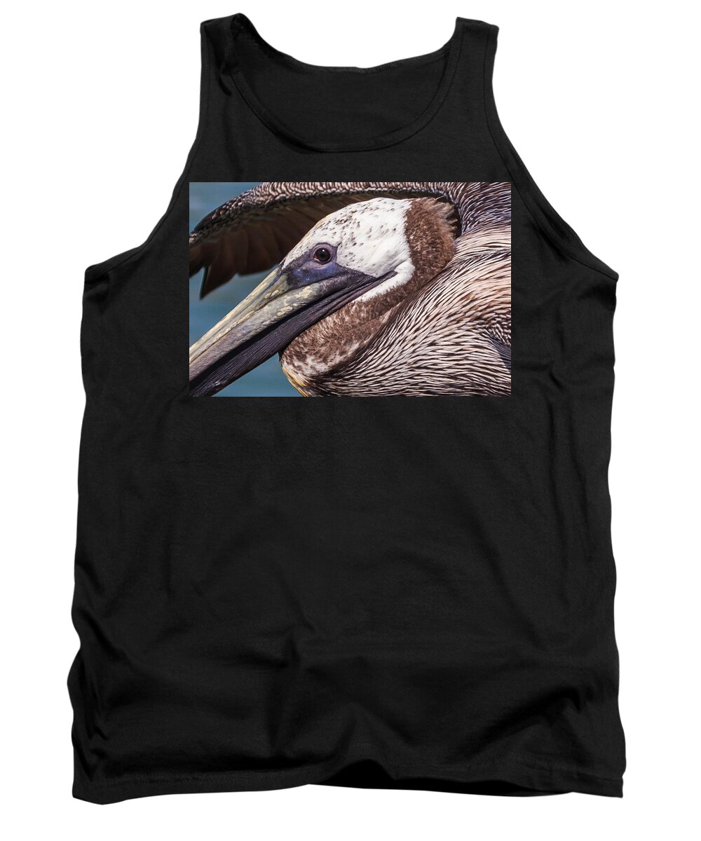 Florida Tank Top featuring the photograph Pelican Detail by Paul Schultz