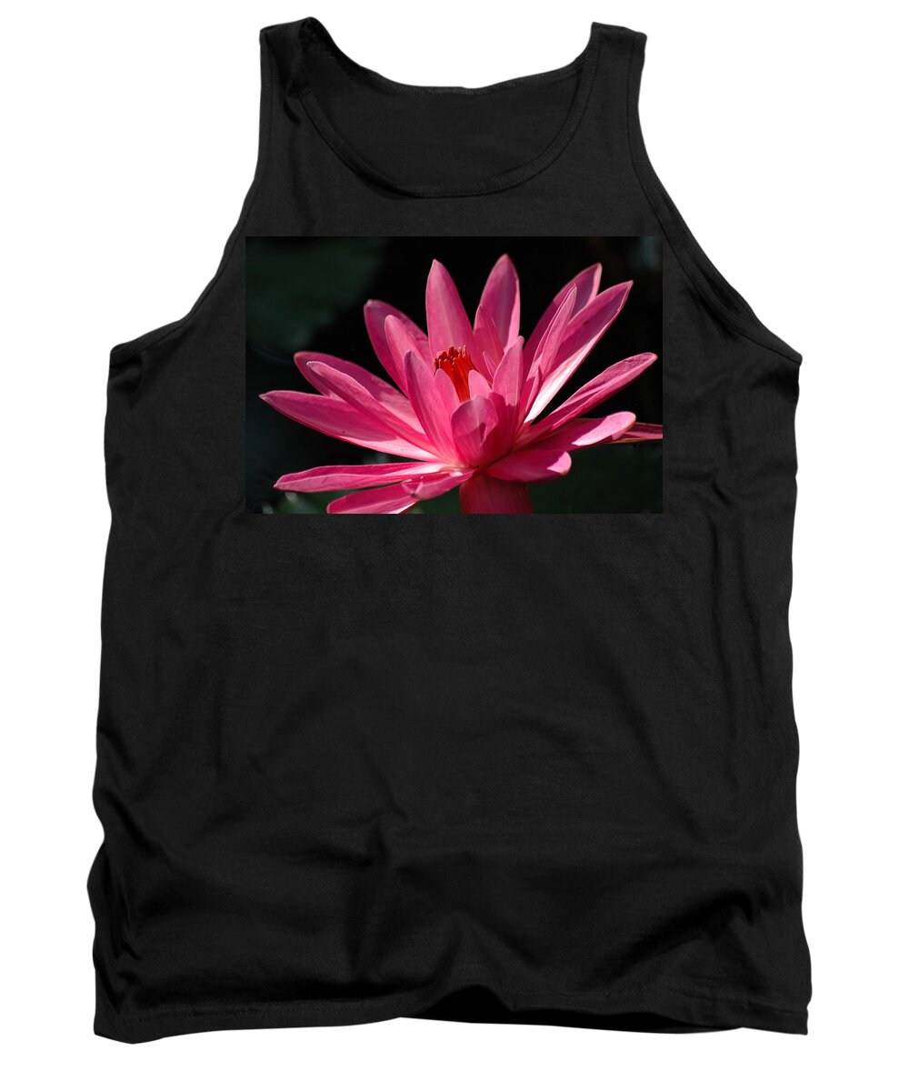 Water Lily Tank Top featuring the photograph Pink Beauty by Carolyn Marshall