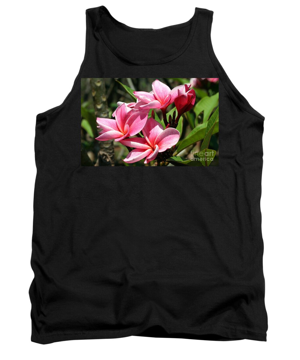 Flower Tank Top featuring the photograph Pink Plumeria by Teresa Zieba