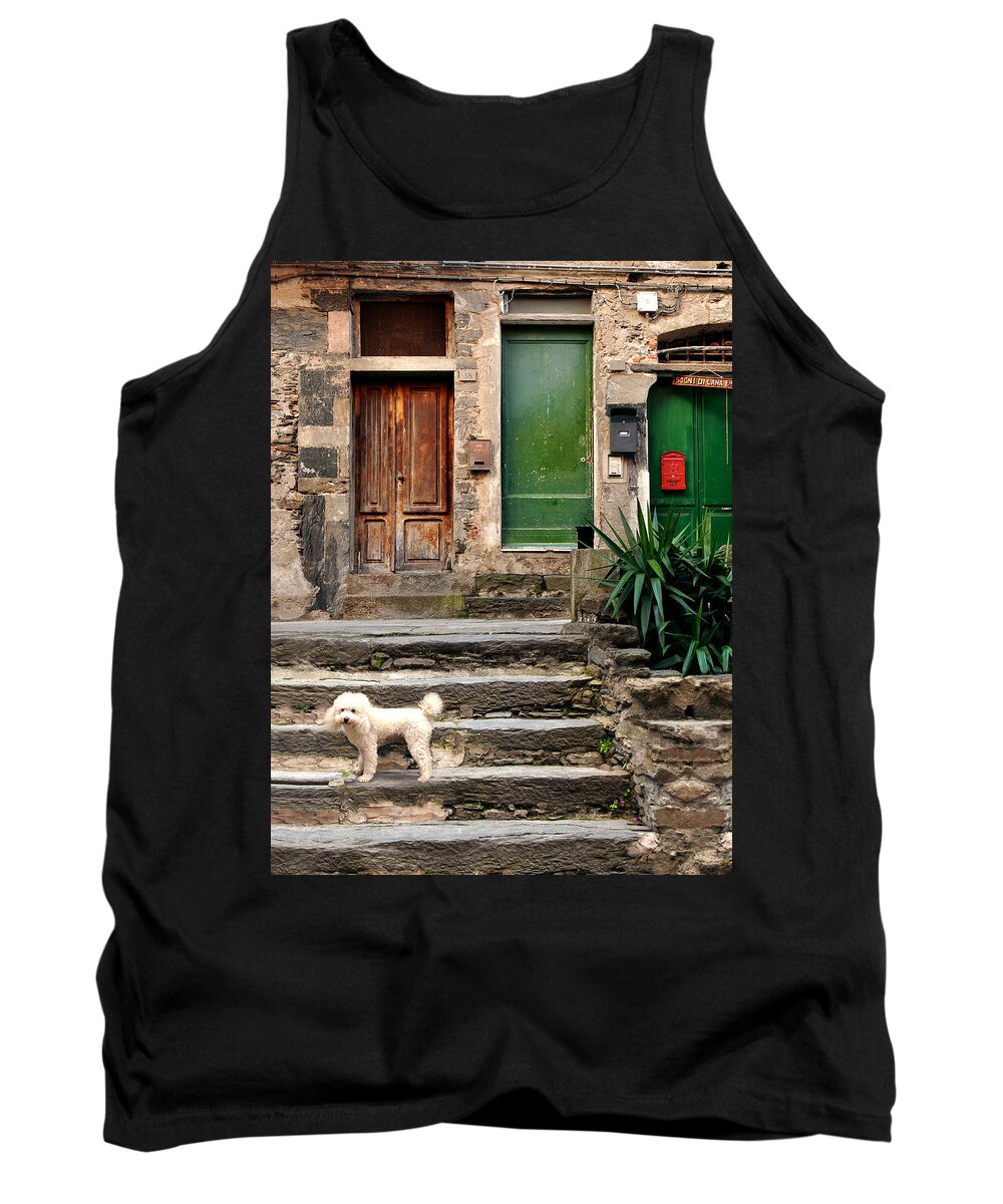 Poodle Tank Top featuring the photograph Poodle Poser - Vernazza, Cinque Terre, Italy by Denise Strahm
