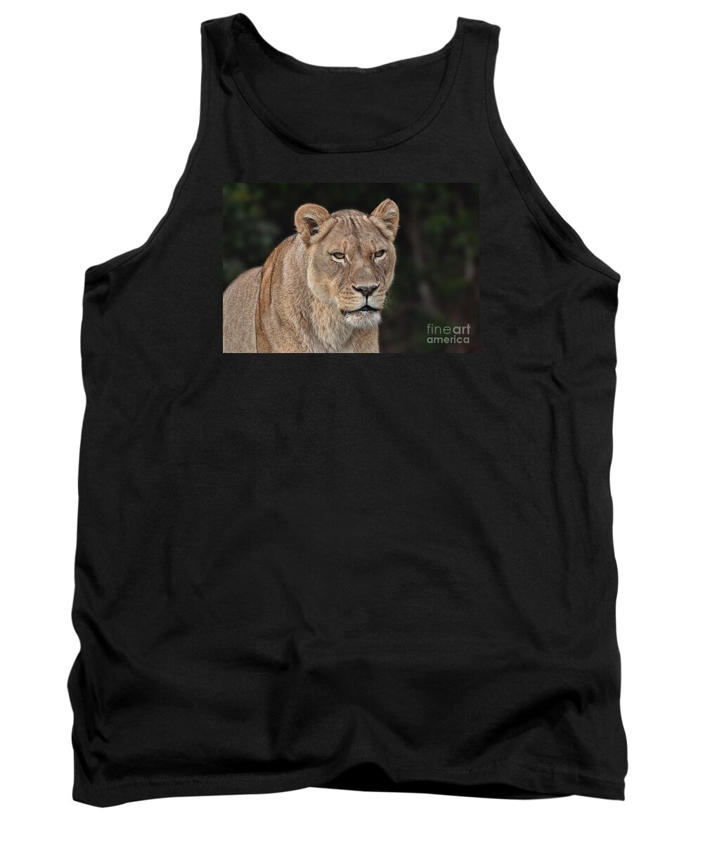 Lion Tank Top featuring the photograph Portrait of a Lioness II by Jim Fitzpatrick