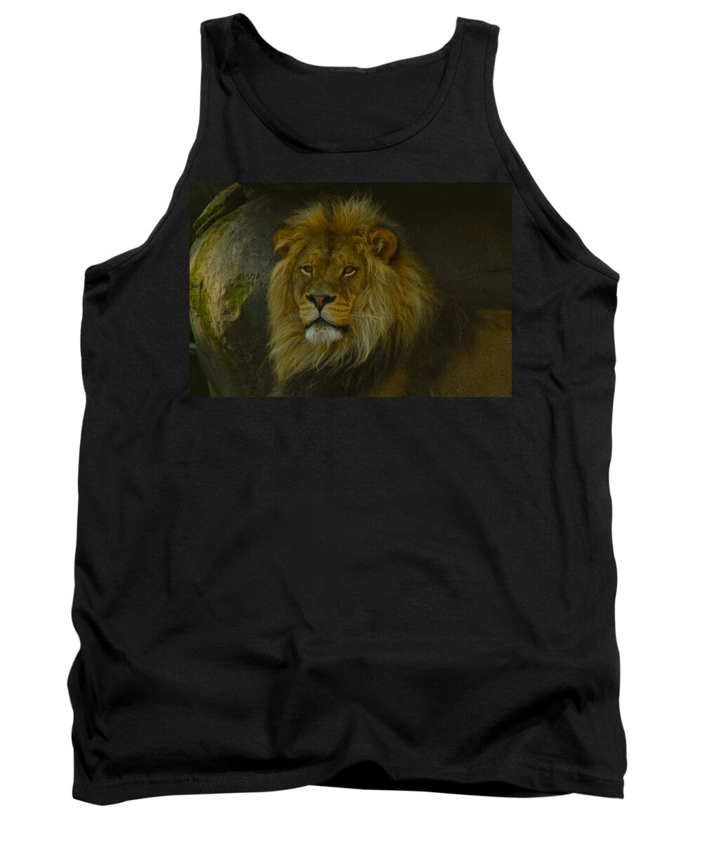 Lion Tank Top featuring the photograph Pride Land by Laddie Halupa