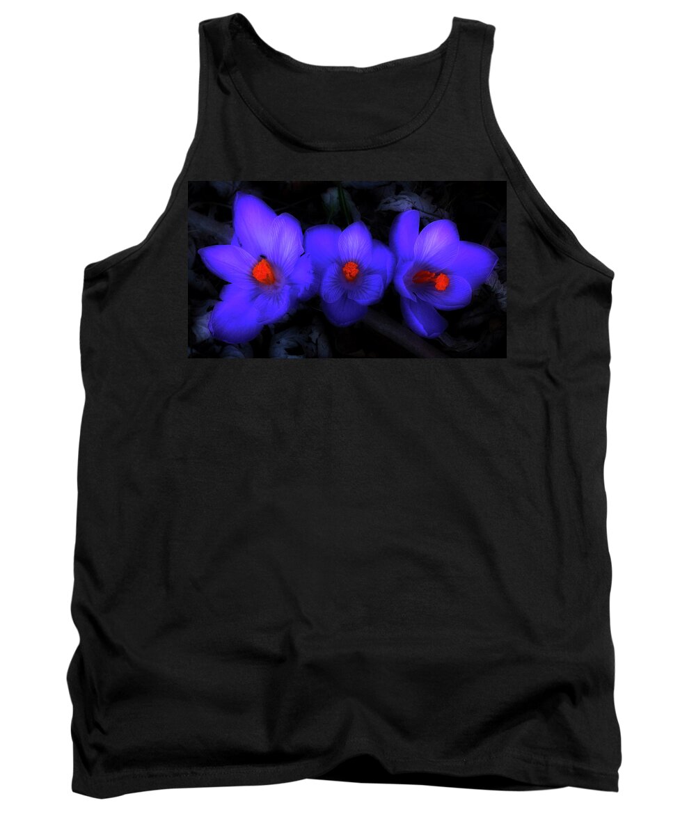 Crocus Tank Top featuring the photograph Beautiful Blue Purple Spring Crocus Blooms by Shelley Neff