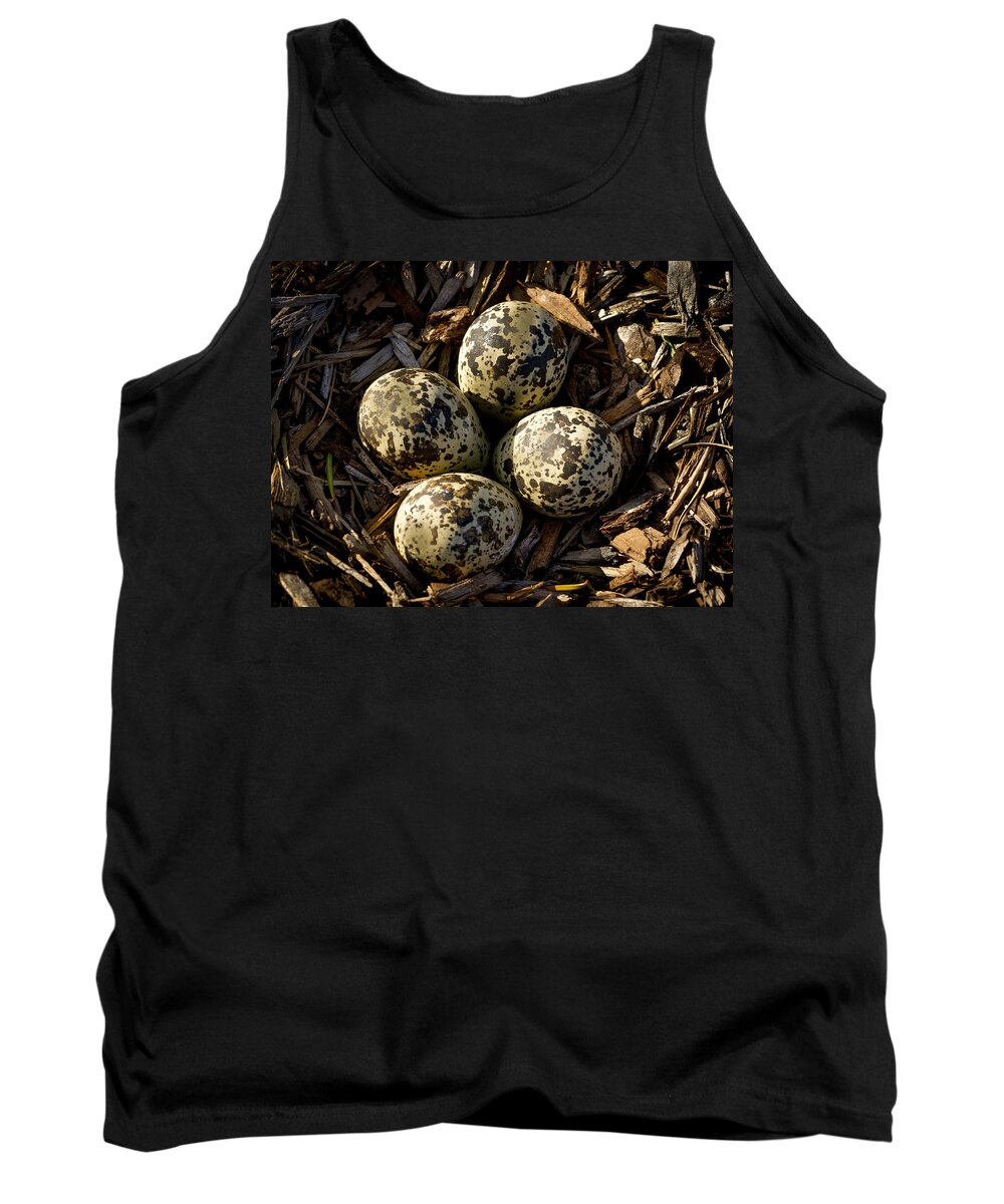Eggs Tank Top featuring the photograph Quartet of Killdeer Eggs by Jean Noren by Jean Noren