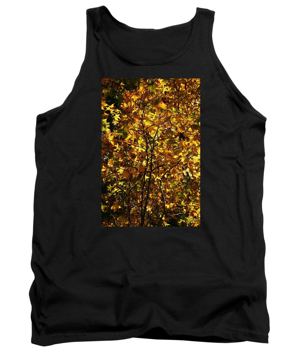 Leaf Tank Top featuring the photograph Radiant Leaves by Karen Harrison Brown