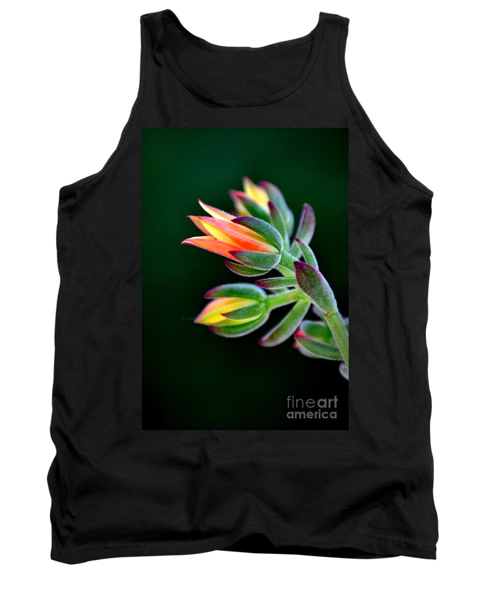 Red Velvet Echeveria Tank Top featuring the photograph Red Velvet by Deb Halloran