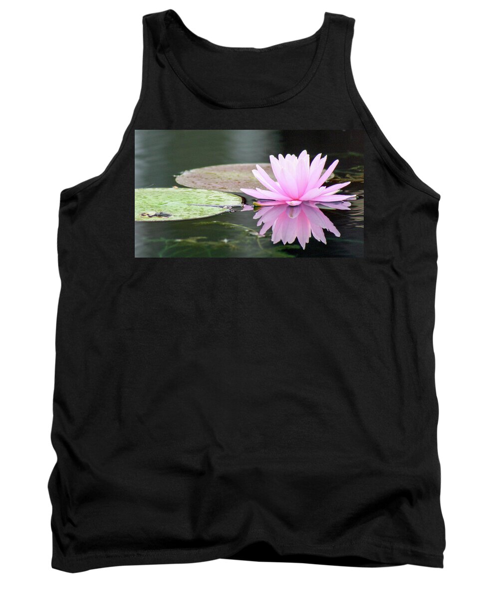 Water Lily Tank Top featuring the photograph Reflected Water Lily by Mary Anne Delgado