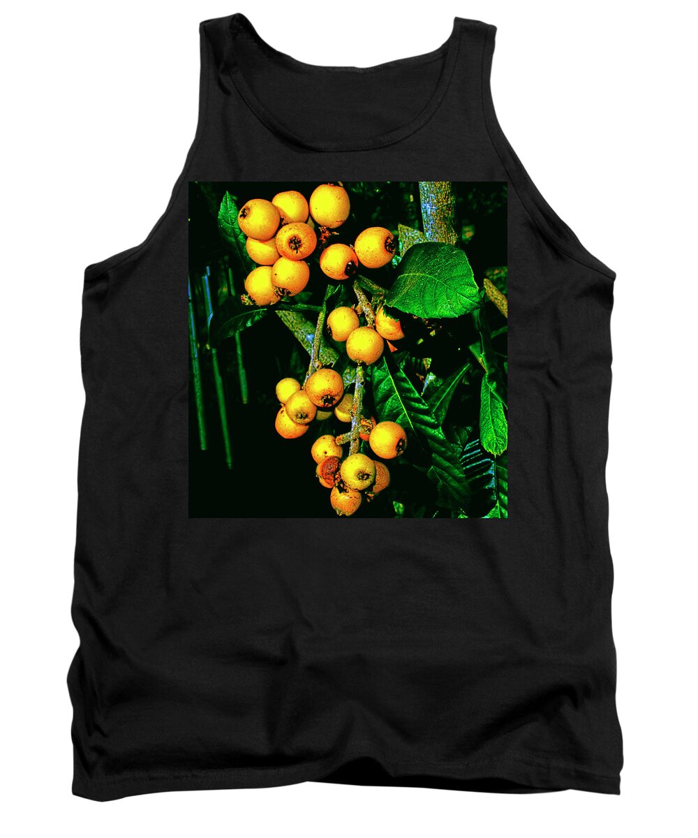Loquats Tank Top featuring the photograph Ripe Loquats by Gina O'Brien