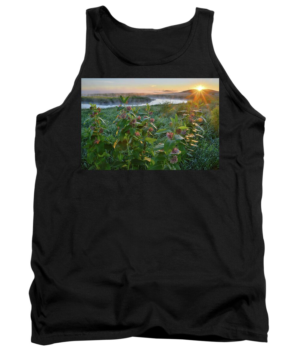 Glacial Park Tank Top featuring the photograph Rising Sun Backlights Milkweed along Nippersink Creek in Glacial Park by Ray Mathis