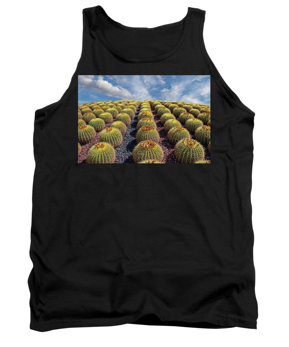 Arizona Tank Top featuring the photograph Rows of Cacti up Hill.jpg by Darryl Brooks