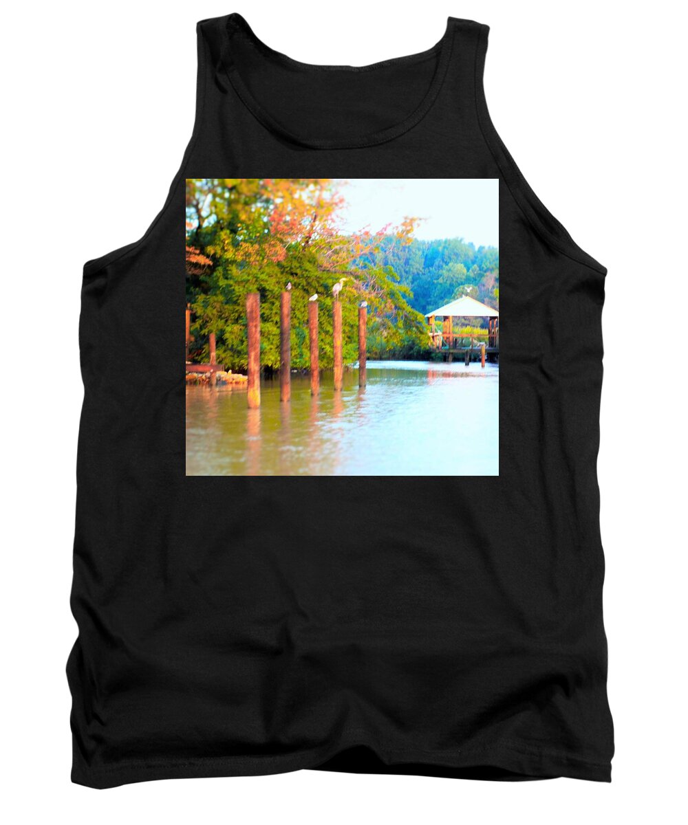 Water Tank Top featuring the photograph Sail at Sunrise by Art By G-Sheff