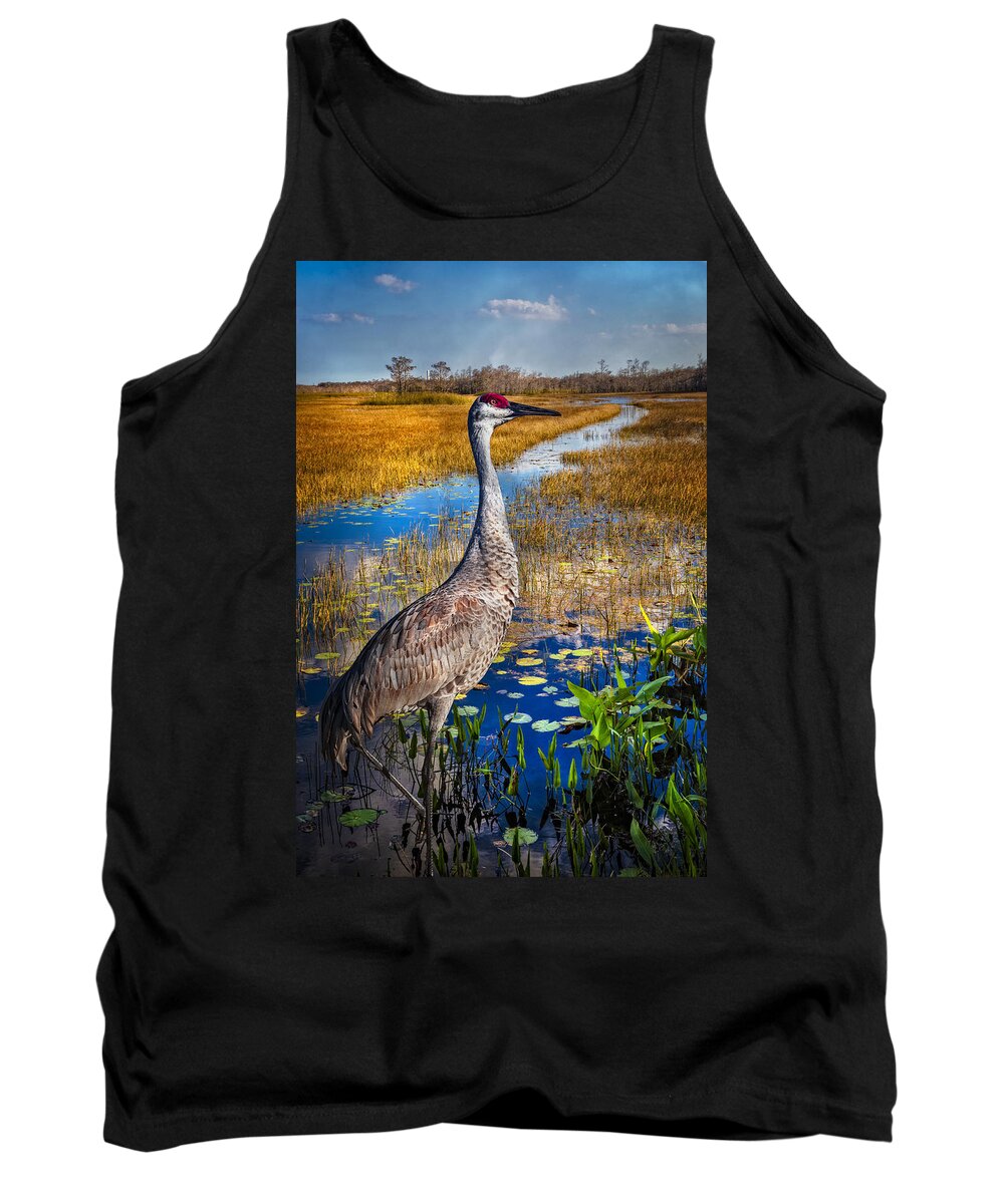 Birds Tank Top featuring the photograph Sandhill Crane in the Glades by Debra and Dave Vanderlaan