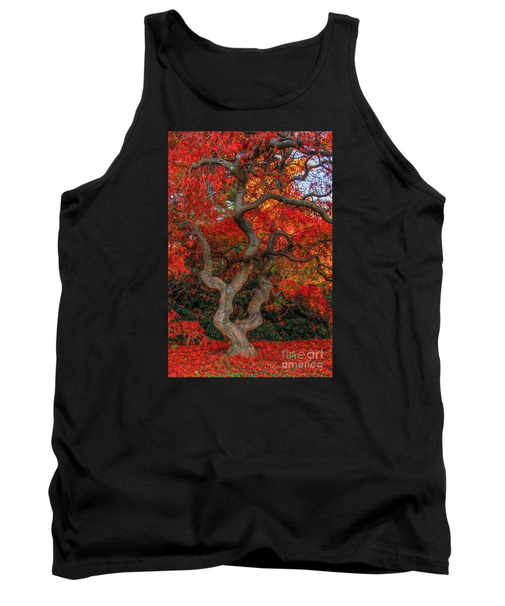 Trees Tank Top featuring the photograph Scarlet Ramifications by Marco Crupi