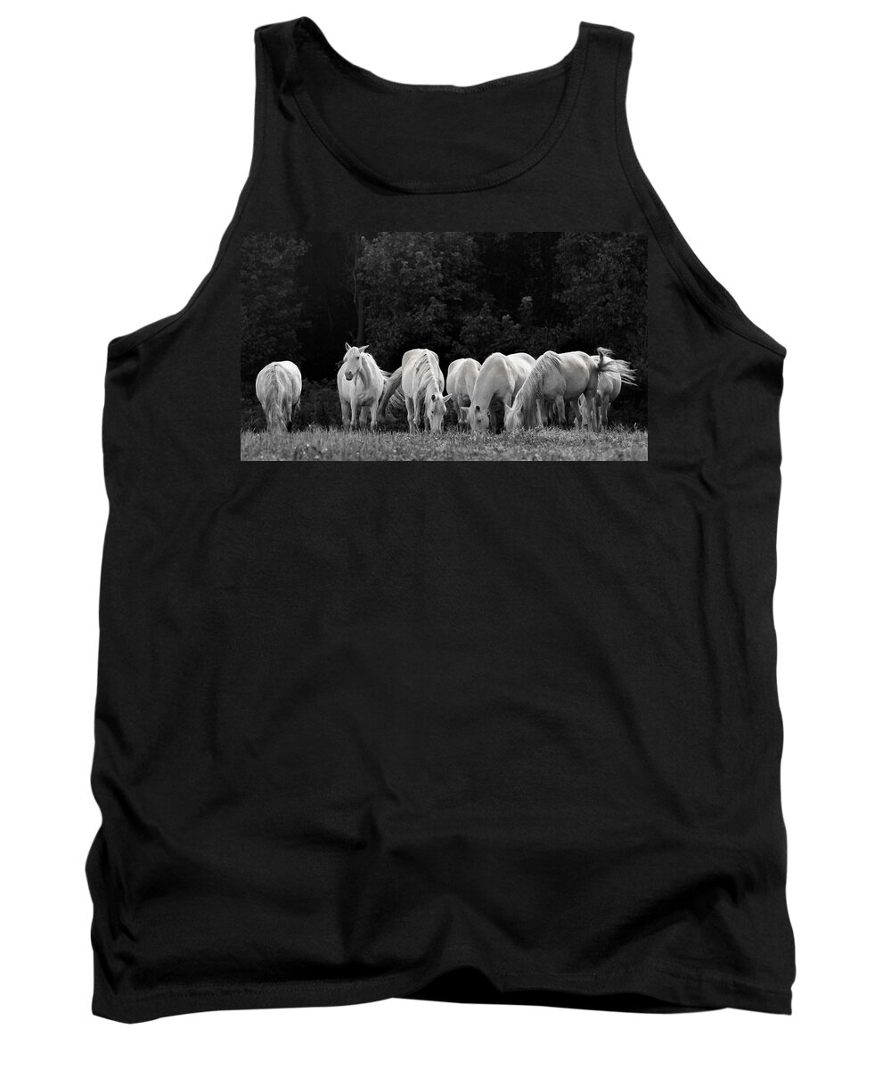 Horses Tank Top featuring the photograph Seven White Ponies by Holly Ross