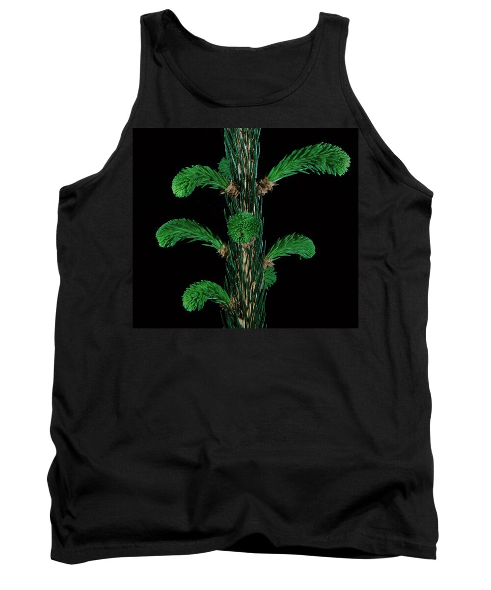 Spruce Tank Top featuring the photograph Sharp and Soft by Mark Fuller