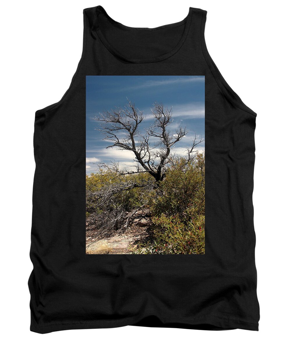 Landscape Tank Top featuring the photograph Signs of Life After the Fire by Joe Kozlowski