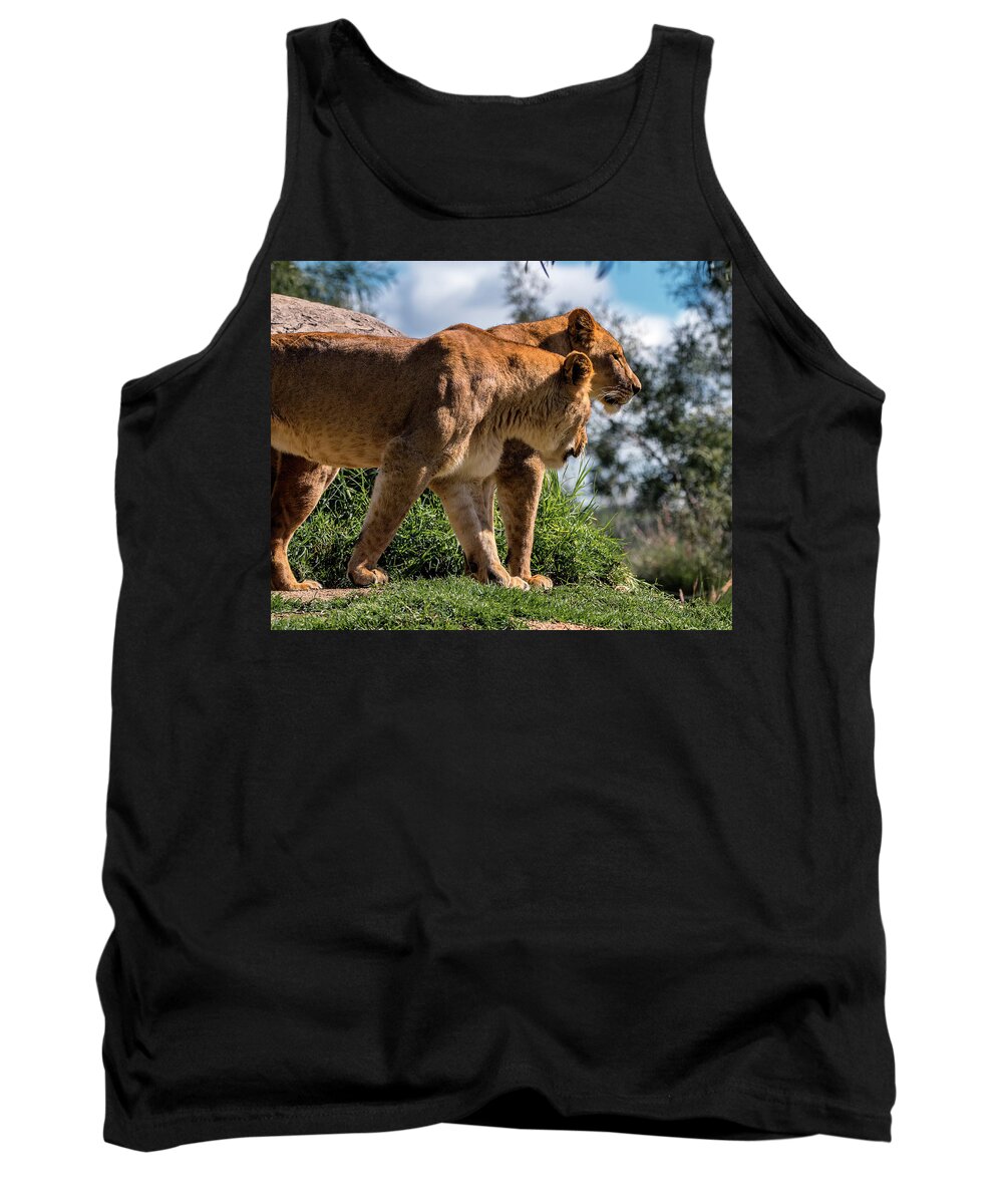 Lion Tank Top featuring the photograph Sister's Overlook by American Landscapes