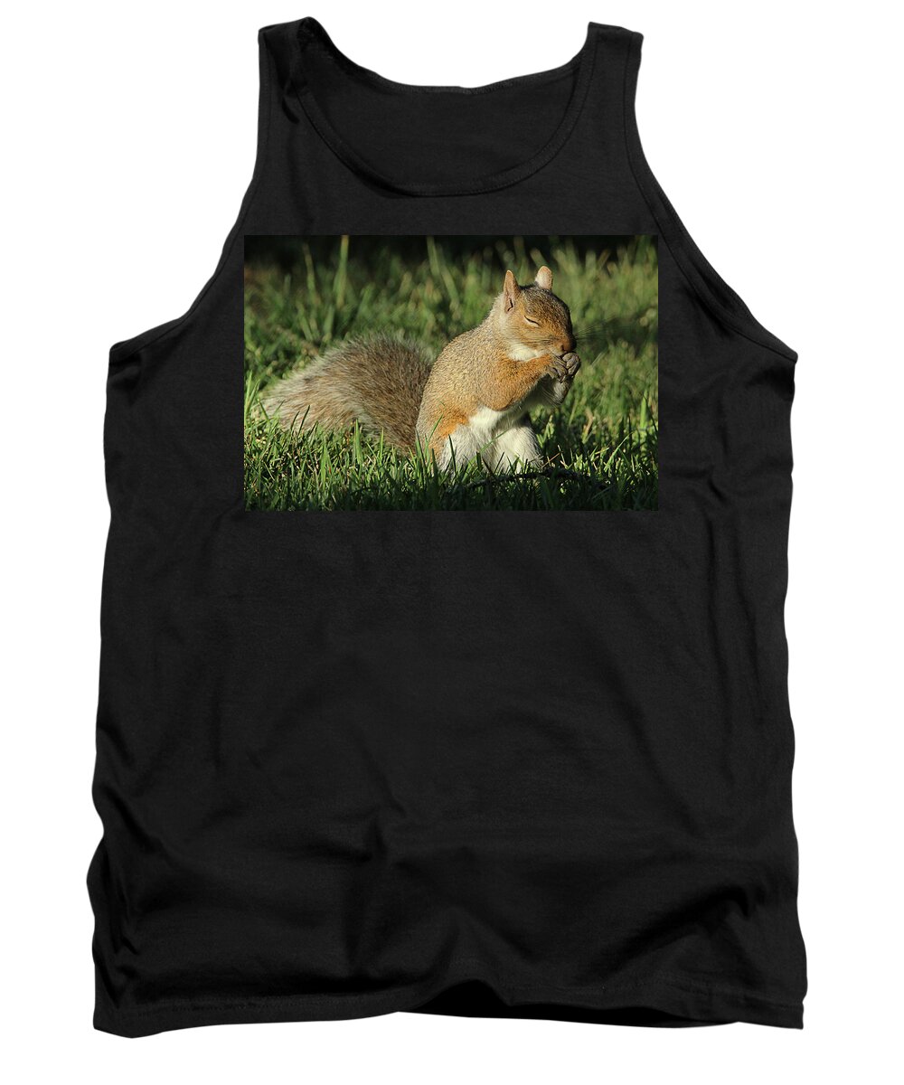 Squirrel Tank Top featuring the photograph Sleepy by David Stasiak