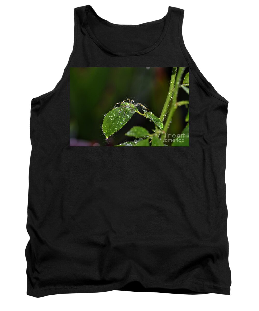 Clay Tank Top featuring the photograph Spider And The Shower by Clayton Bruster