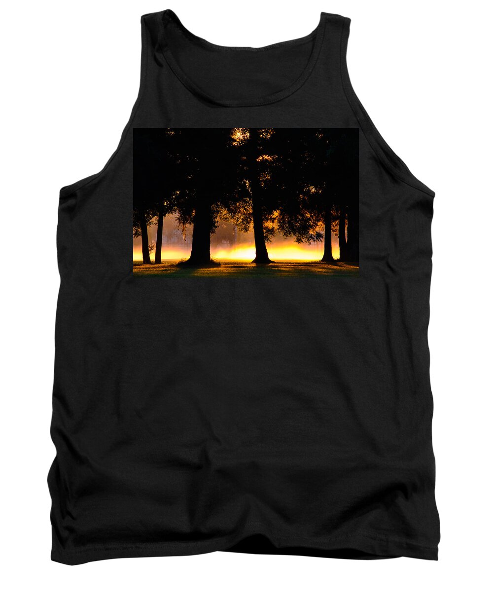 Landscape Tank Top featuring the photograph Spilled Suinshine by Tikvah's Hope