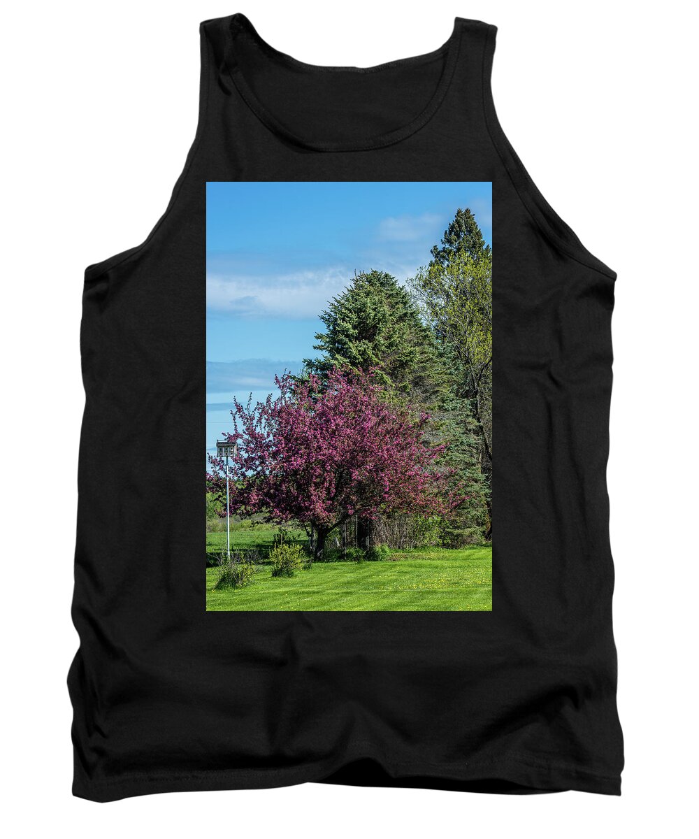 Spring Tank Top featuring the photograph Spring Blossoms by Paul Freidlund