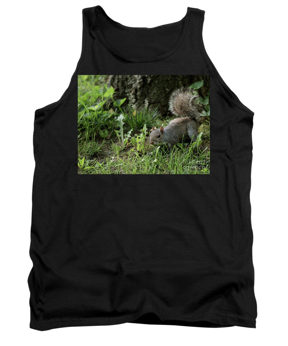 Ef70-200mm F/2.8 Is Usm Tank Top featuring the photograph Squirrel by Agnes Caruso