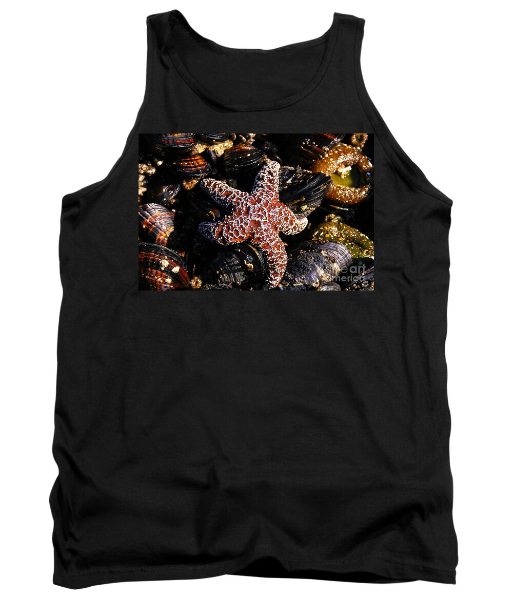 Starfish Tank Top featuring the photograph Starfish by SnapHound Photography
