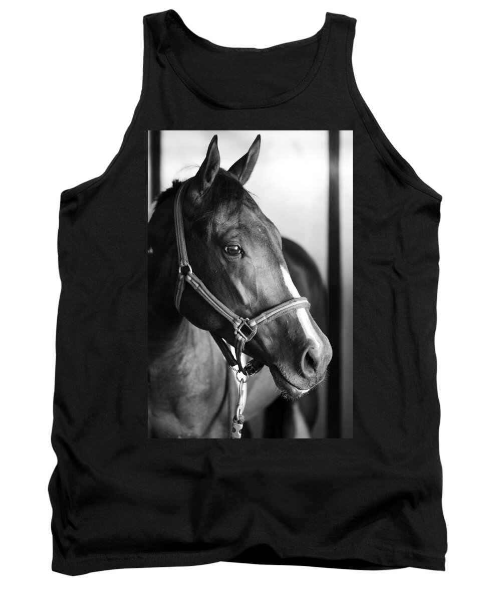 Horse Tank Top featuring the photograph Horse and Stillness by Marilyn Hunt