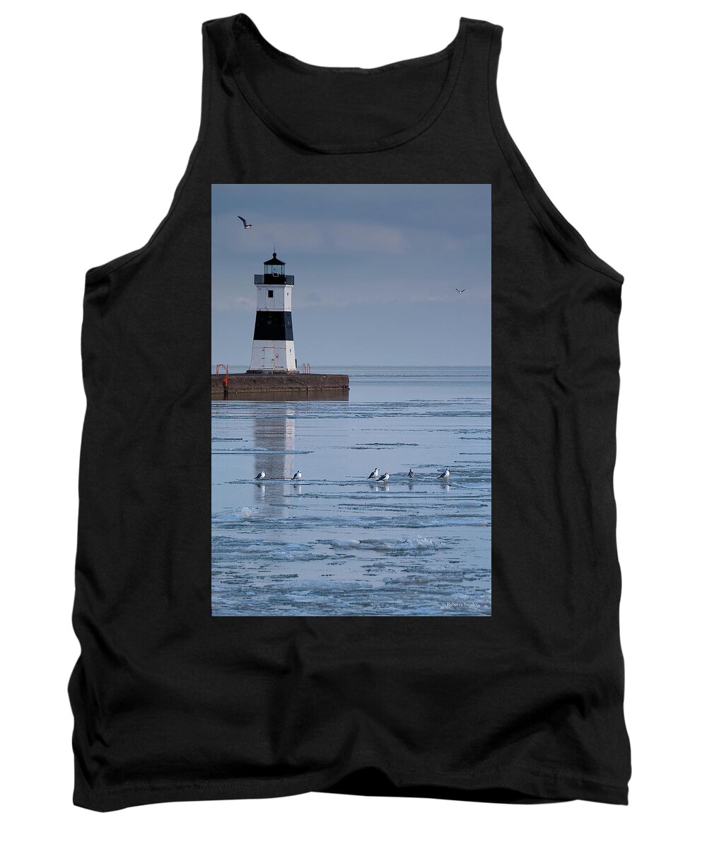 Erie Tank Top featuring the photograph Sunny Sunday by Rebecca Samler