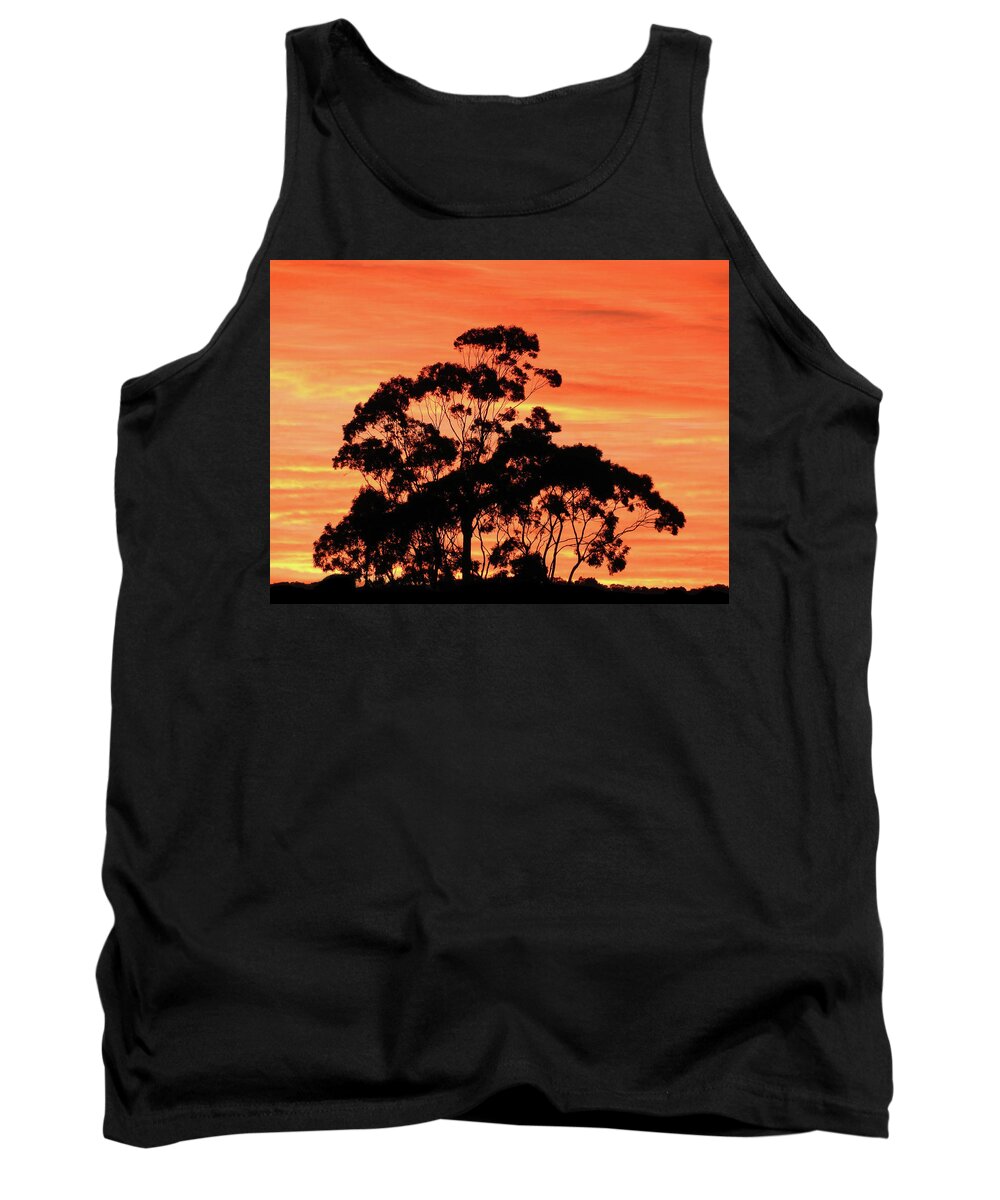 Sunrise Tank Top featuring the photograph Sunrise Mystery by Mark Blauhoefer