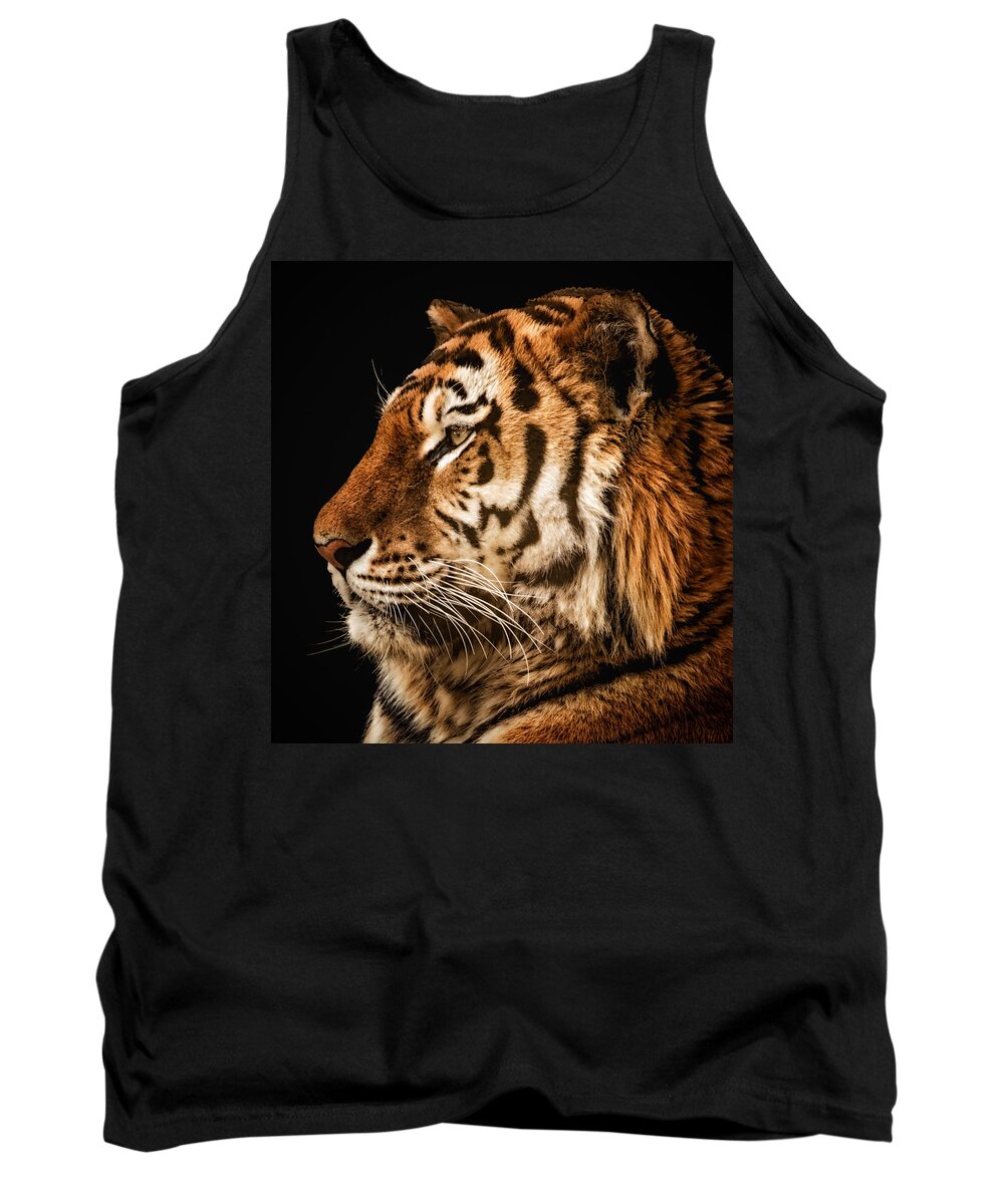 Tiger Tank Top featuring the photograph Sunset Tiger by Chris Boulton