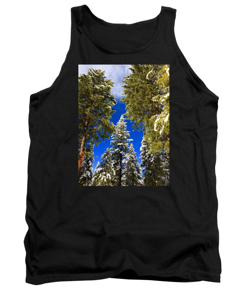Pine Tank Top featuring the painting The Frosted Queen by Jennifer Lake