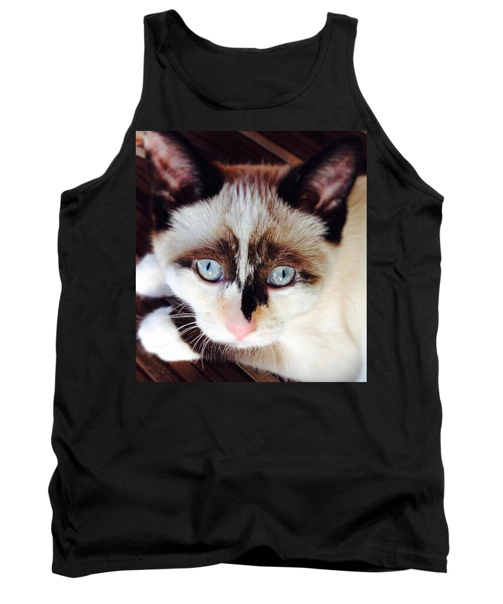 Cat Tank Top featuring the photograph The Look by Kathleen Voort