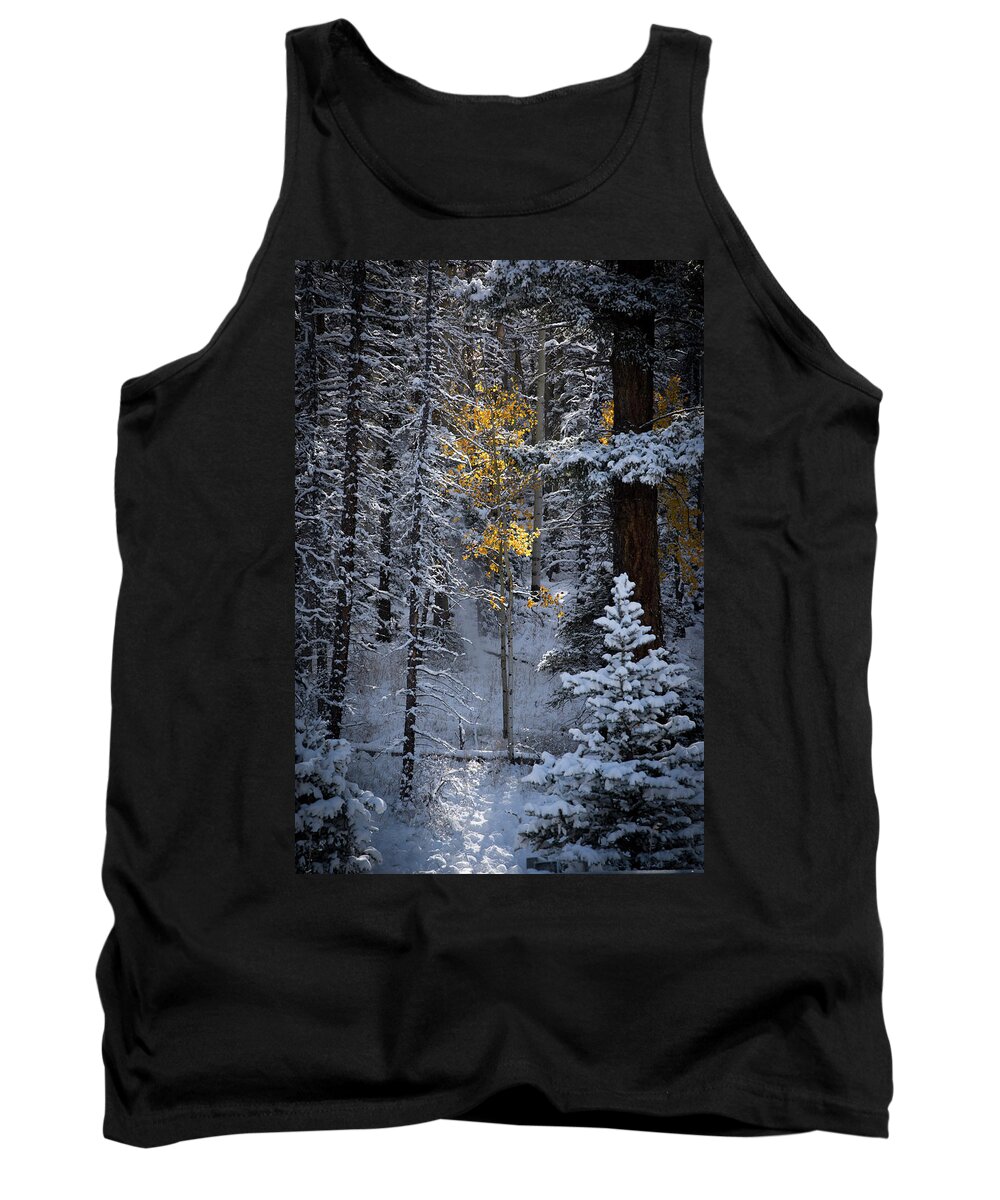 Aspen Tank Top featuring the photograph This Little Light Of Mine by Ron Weathers
