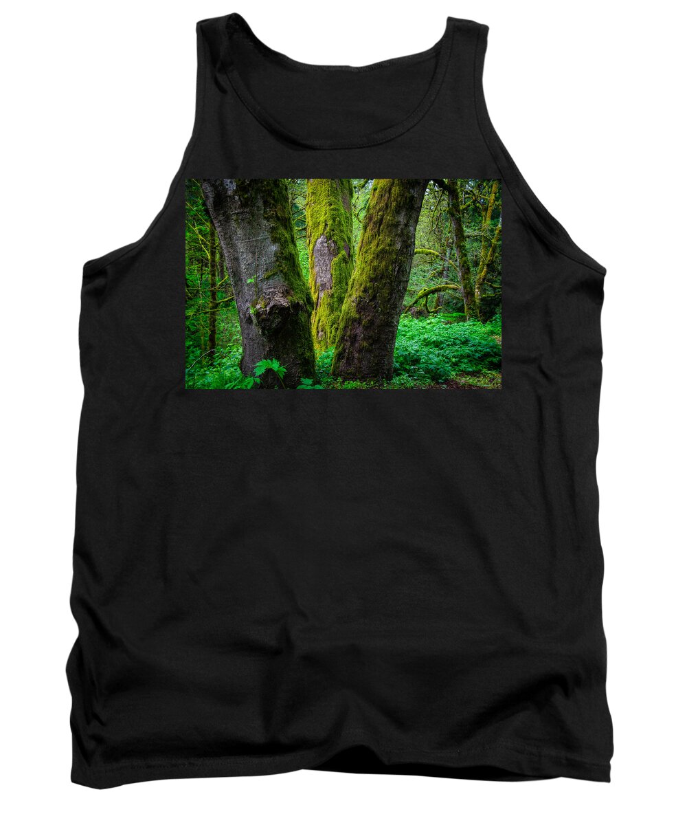 Tree Trunks Tank Top featuring the photograph Three Trunks by Harry Spitz